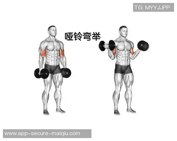 有效利用哑铃锻炼小腿肌肉的技巧与方法分享